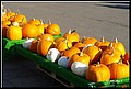 0 (20).JPG
