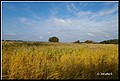 01 (11).JPG