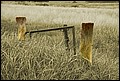 01 (116).jpg