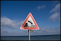 01 (122).jpg