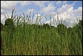 01 (126).JPG