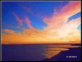 01 (17).jpg