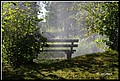 01 (19).JPG