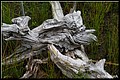 01 (23).JPG