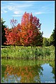 01 (32).JPG