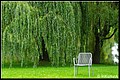01 (33).JPG