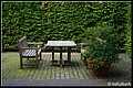 01 (34).JPG