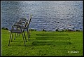01 (37).JPG