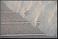 01 (40).JPG
