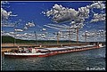 01 (41).jpg