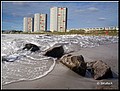 01 (49).jpg