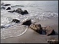 01 (52).JPG