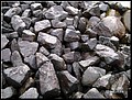 01 (53).JPG