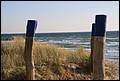 01 (66).JPG