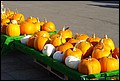 01 (67).JPG