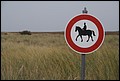01 (69).JPG