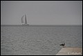 01 (72).JPG