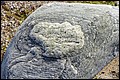 01 (74).JPG