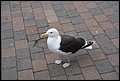 01 (90).JPG