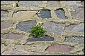 01 (95).JPG