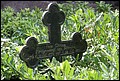 01 (97).JPG