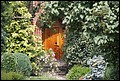 01 (99).JPG