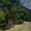 landschaft_198