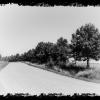 mobiles_021