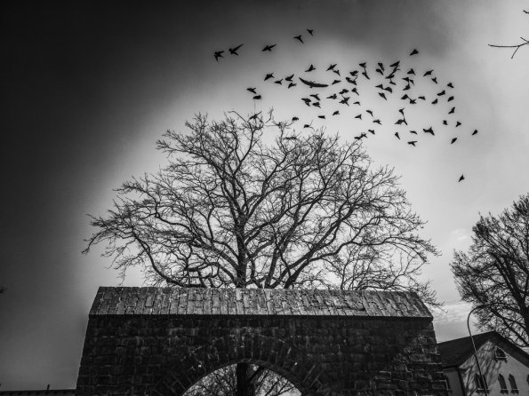 mobiles_023