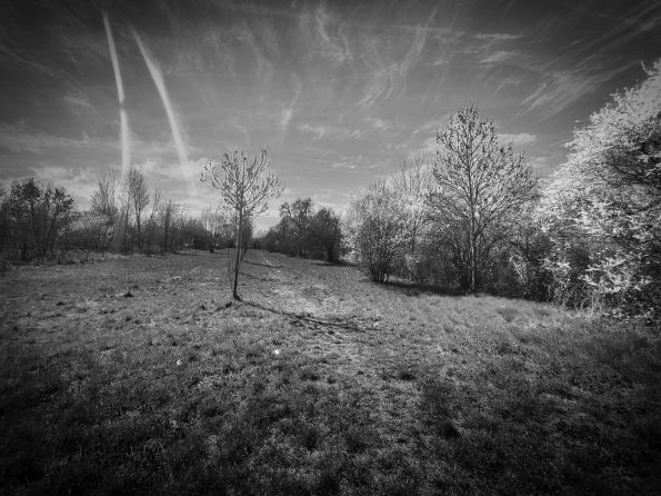 mobiles_006